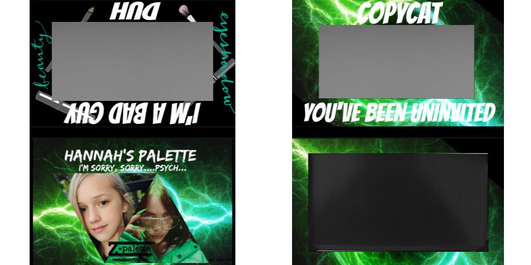 Custom Medium Deep Z Palette