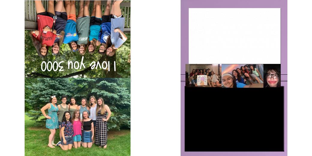 Custom Solid Z Palette