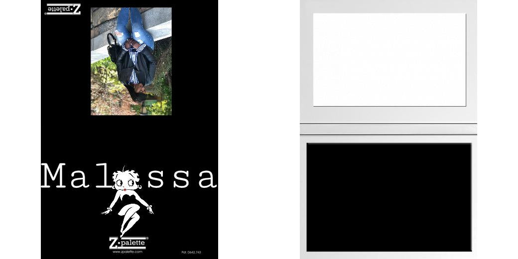 Custom Solid Z Palette