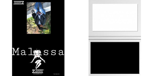 Custom Solid Z Palette