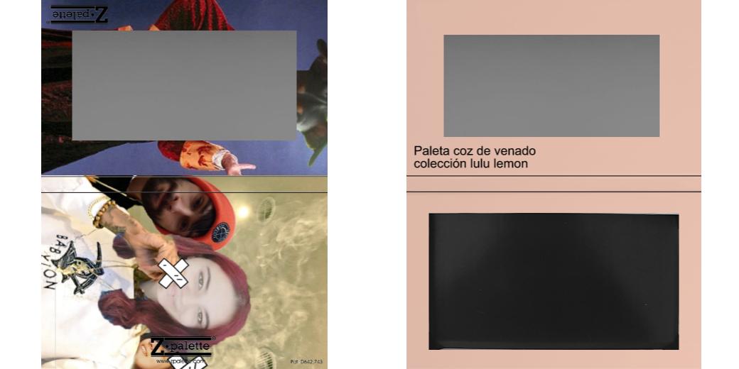 Custom Medium Deep Z Palette