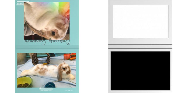 Custom Solid Z Palette