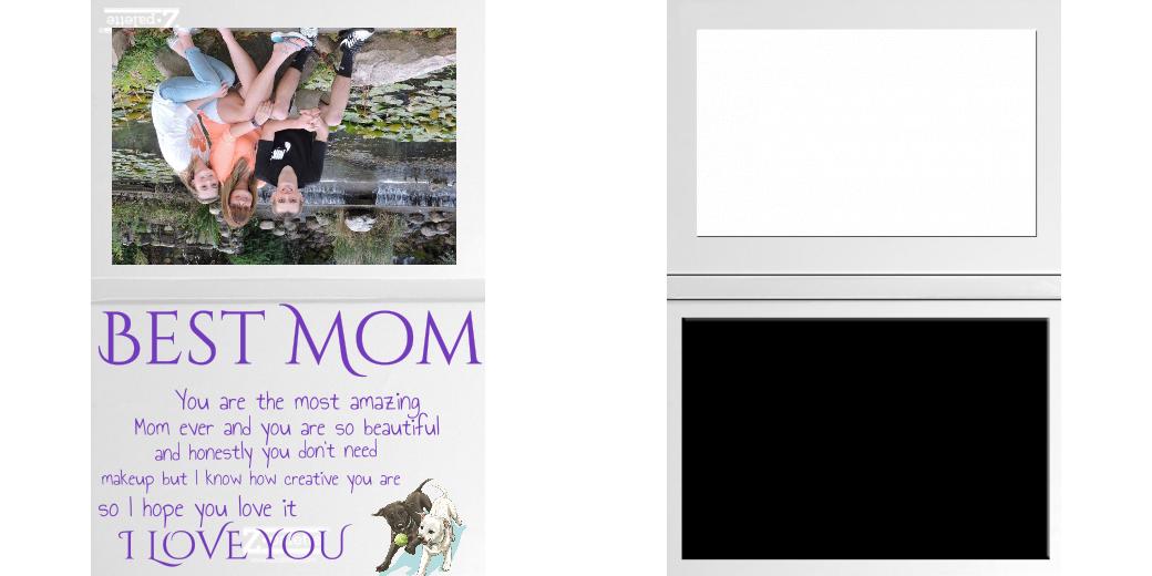 Custom Solid Z Palette