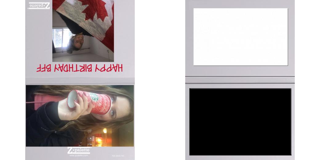 Custom Solid Z Palette