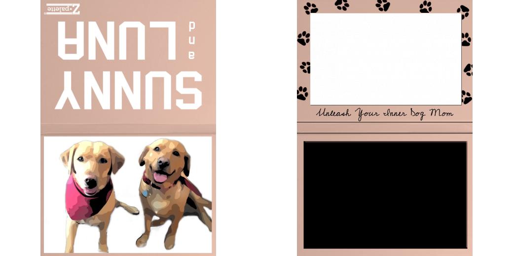 Custom Solid Z Palette