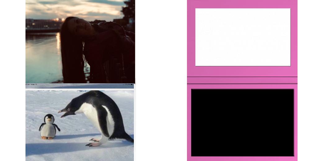 Custom Solid Z Palette