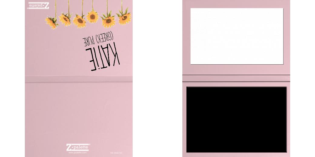 Custom Solid Z Palette