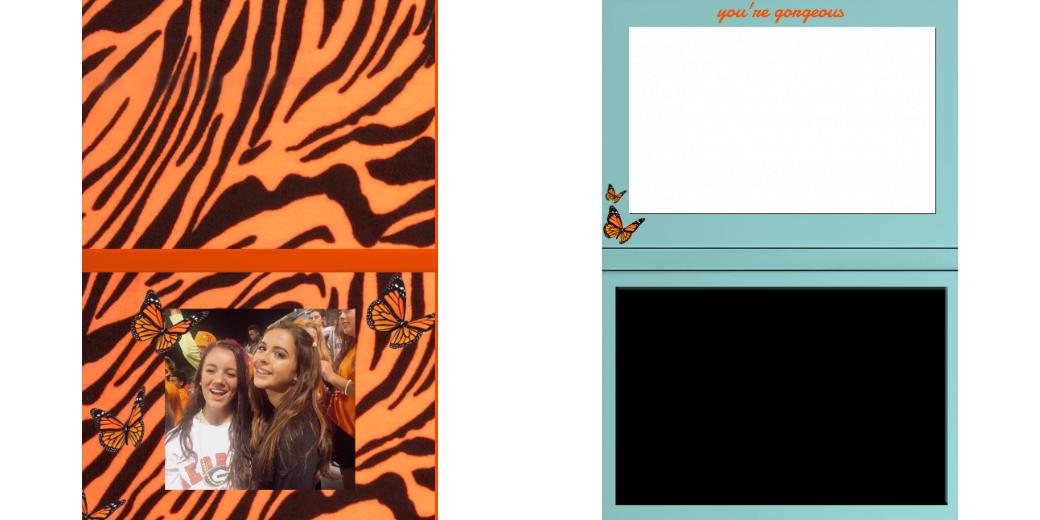 Custom Solid Z Palette