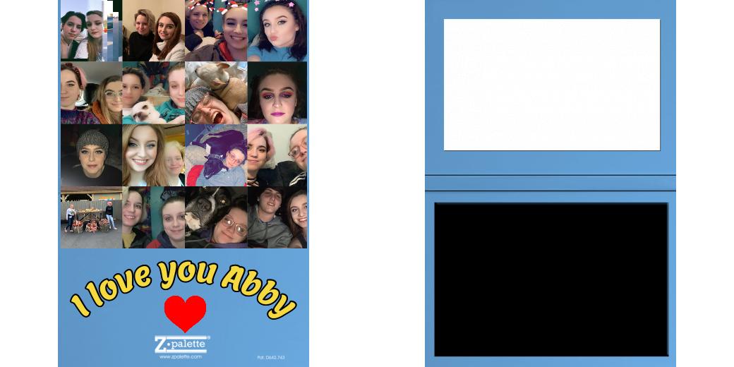 Custom Solid Z Palette