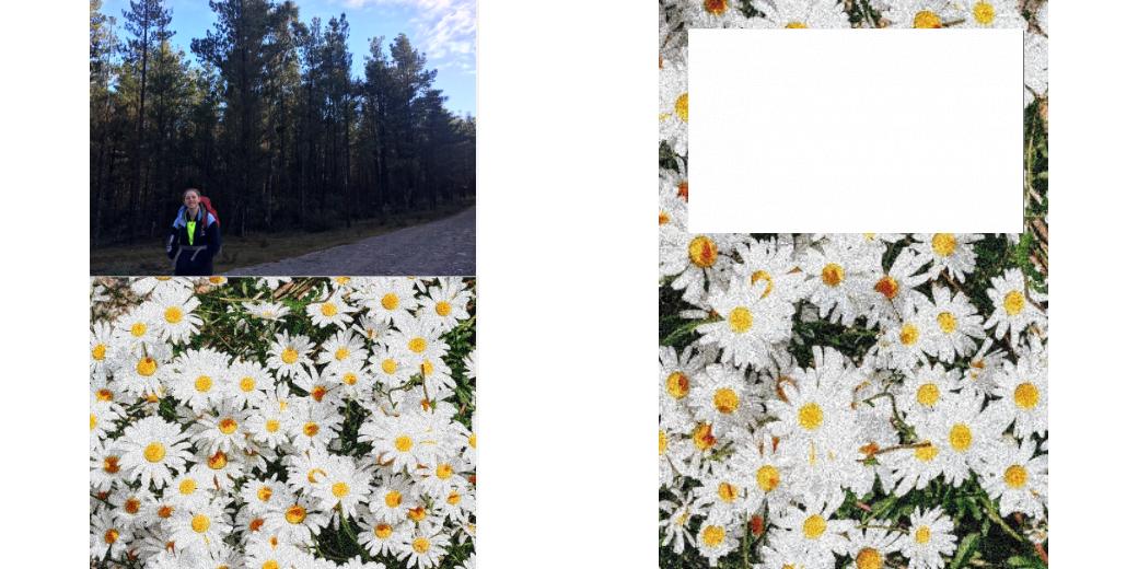 Custom Solid Z Palette