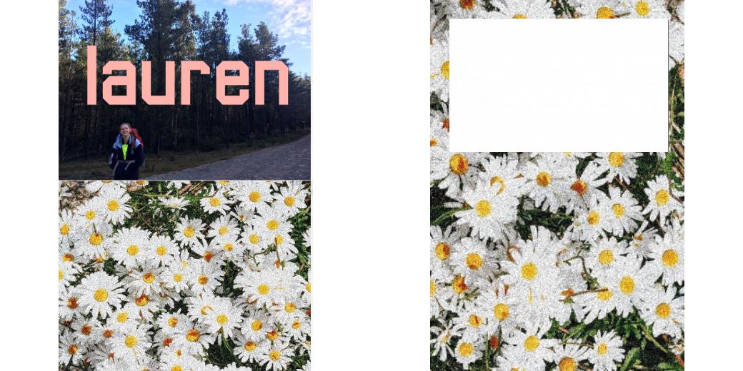 Custom Solid Z Palette