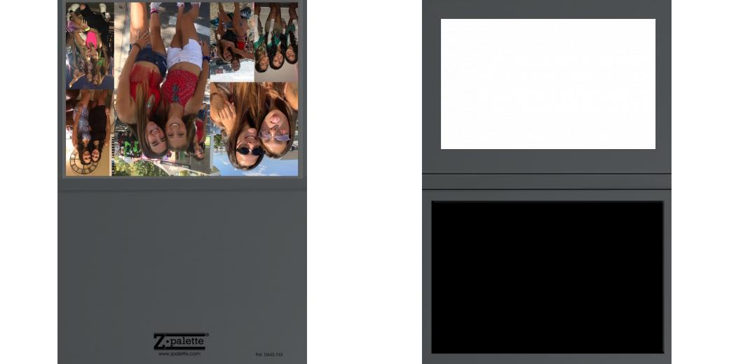 Custom Solid Z Palette