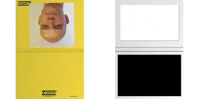 Custom Solid Z Palette