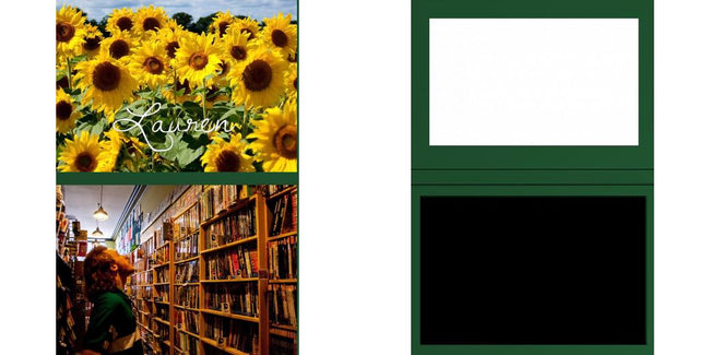 Custom Solid Z Palette