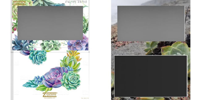 Custom Large Z Palette