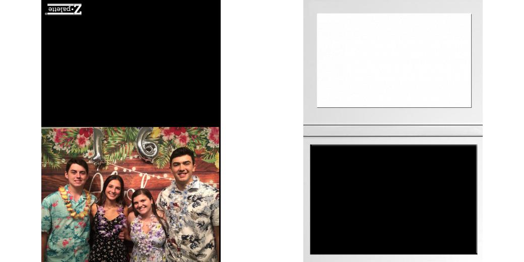 Custom Solid Z Palette