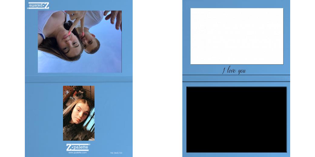 Custom Solid Z Palette