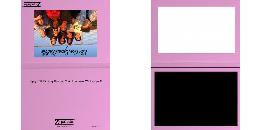 Custom Solid Z Palette