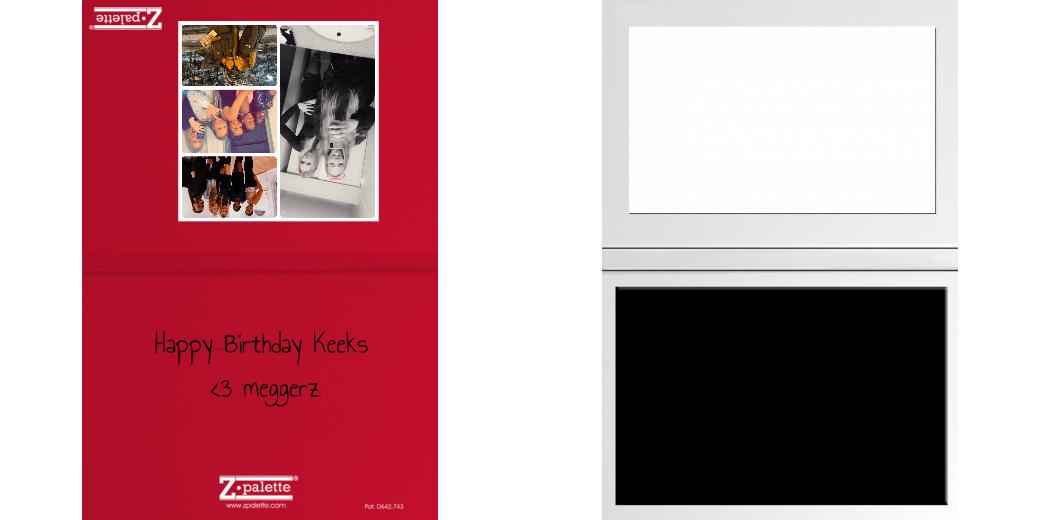 Custom Solid Z Palette