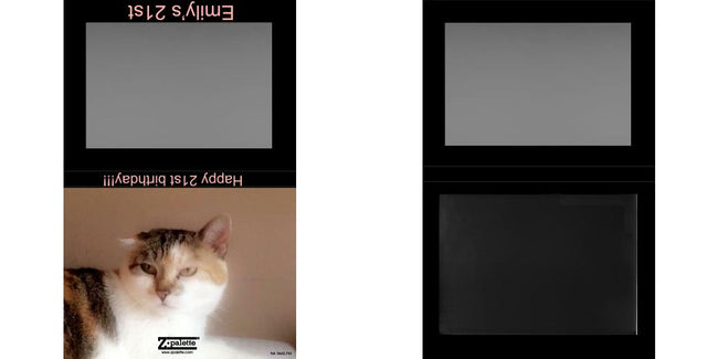 Custom Extra Large Z Palette