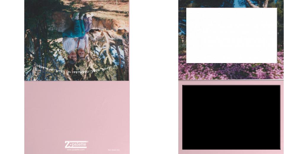 Custom Solid Z Palette