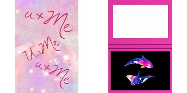 Custom Solid Z Palette