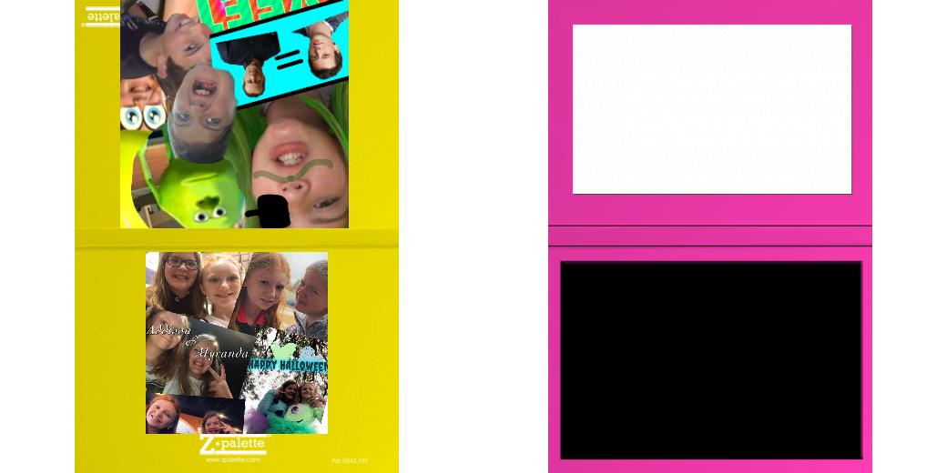 Custom Solid Z Palette