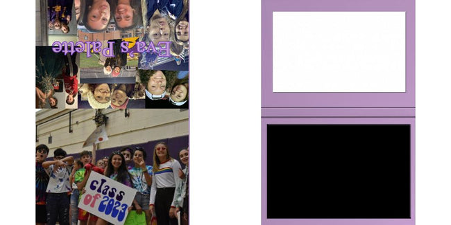 Custom Solid Z Palette