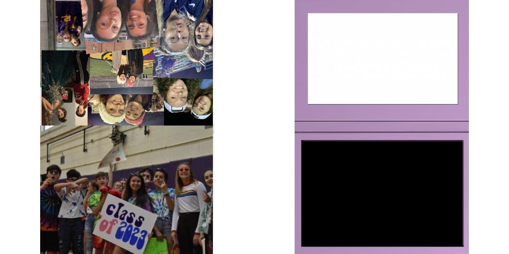 Custom Solid Z Palette