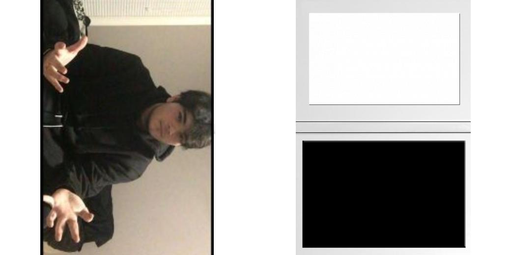 Custom Solid Z Palette