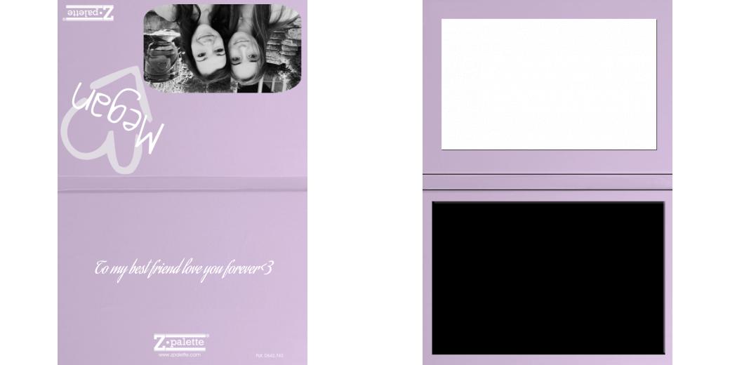 Custom Solid Z Palette