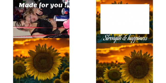 Custom Solid Z Palette