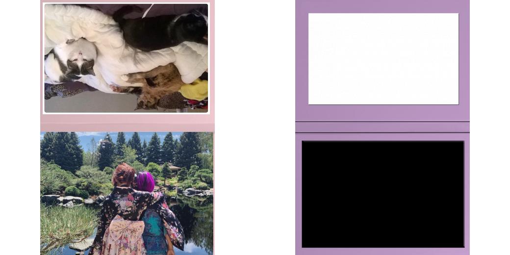 Custom Solid Z Palette