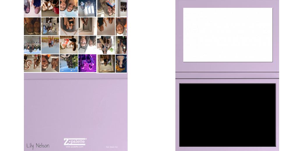 Custom Solid Z Palette