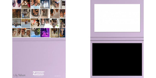 Custom Solid Z Palette