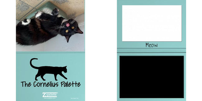 Custom Solid Z Palette