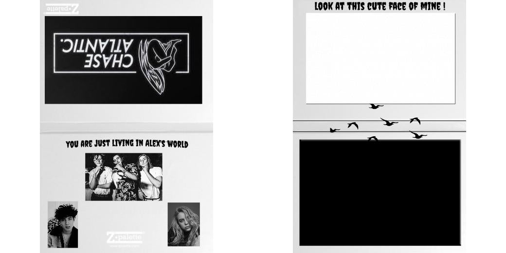 Custom Solid Z Palette