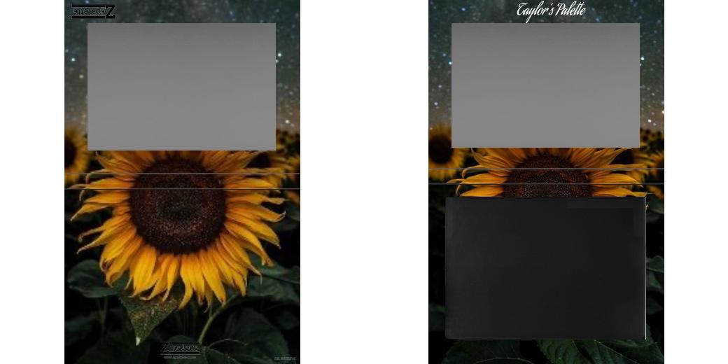 Custom Extra Large Z Palette