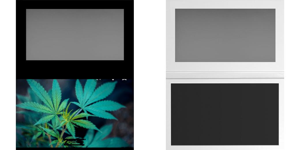 Custom Large Z Palette