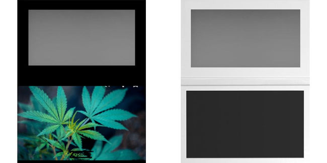 Custom Large Z Palette