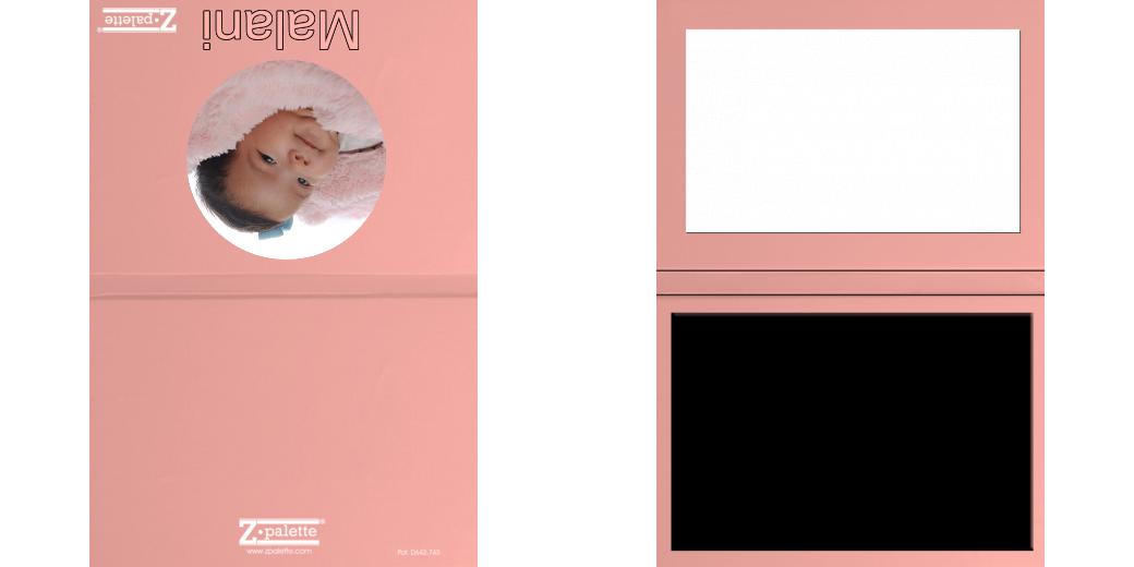 Custom Junior Z Palette