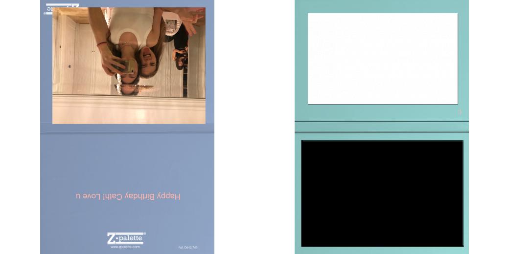 Custom Junior Z Palette