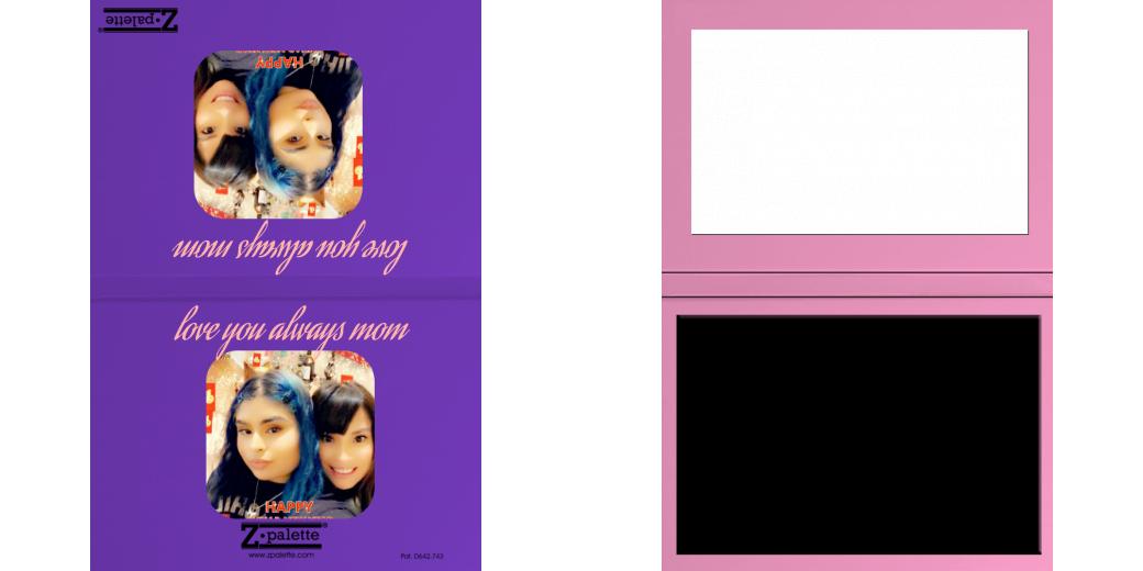 Custom Junior Z Palette