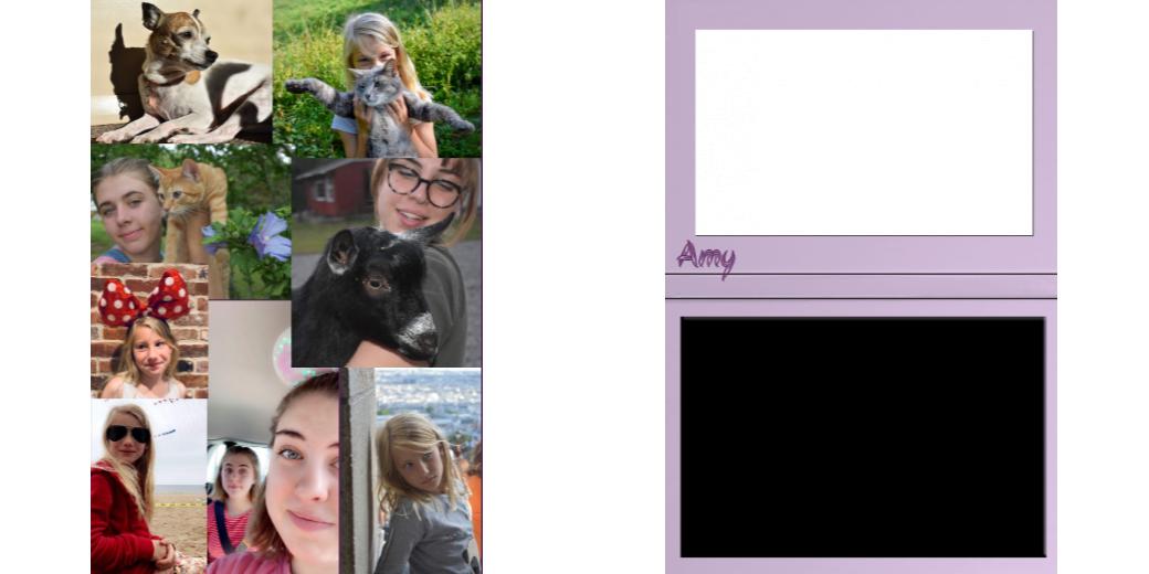 Custom Junior Z Palette