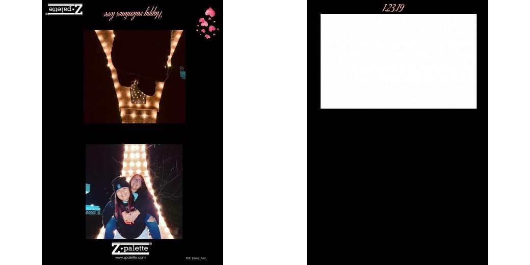 Custom Junior Z Palette