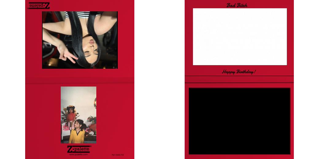 Custom Junior Z Palette