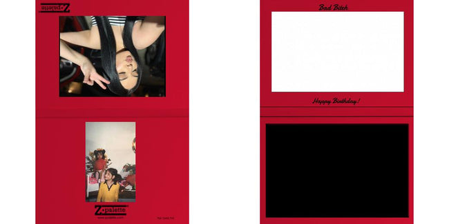 Custom Junior Z Palette