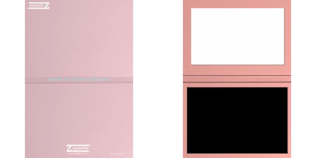 Custom Junior Z Palette