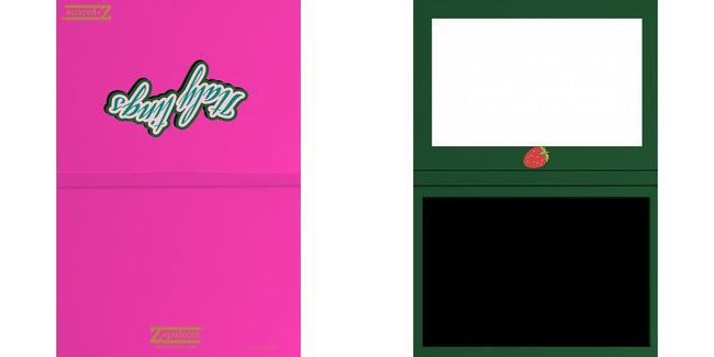 Custom Junior Z Palette