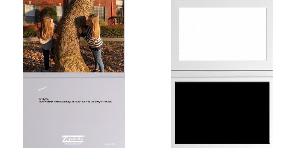 Custom Junior Z Palette